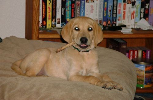 Sage with her bone cigar!